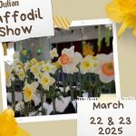 daffodil