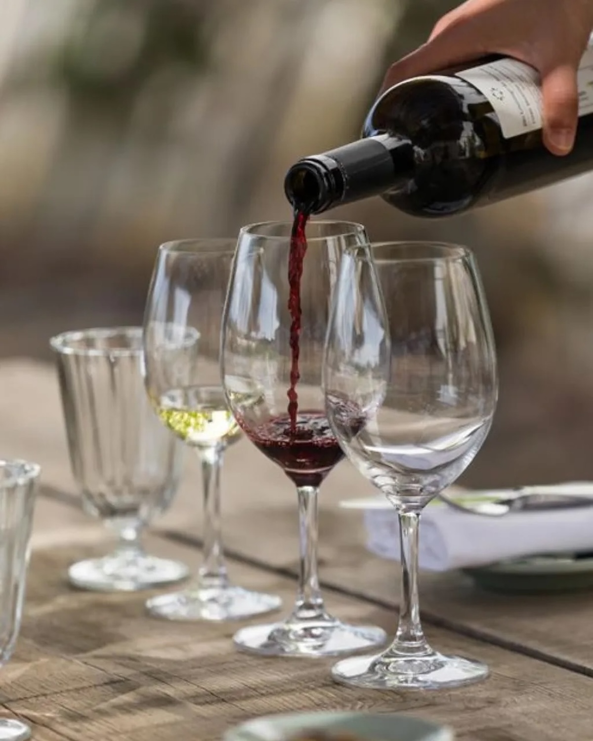 Paul’s Wine Pix Will Be Pouring Into Bellaire-2