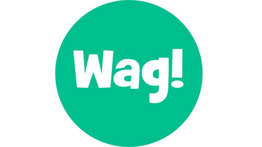 Wag! Group Co. files for chapter 11 bankruptcy