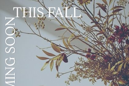 Onigiri Co. Bringing Japanese Rice Balls to Toronto