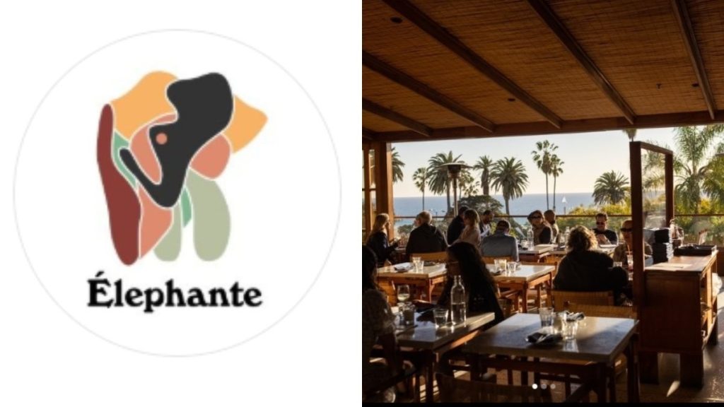 The much-loved dishes at Élephante include cacio e pepe and its wood-fired pizzas.