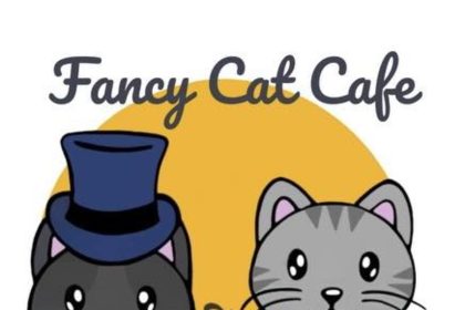 Fancy Cat Cafe Bringing Purrfect Vibes and Great Snacks to Southaven