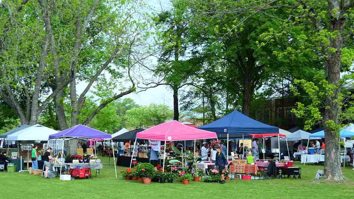 Annual Yellow Daisy Festival.