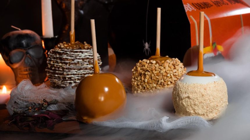 Rocky Mountain Chocolate Factory to Sweeten Folsom's Palladio