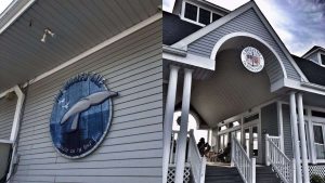 The Whales Tale storefront