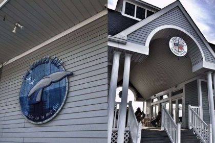 The Whales Tale storefront