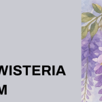 The Wisteria Room To Bring Spa Offerings To Downtown Bowdon