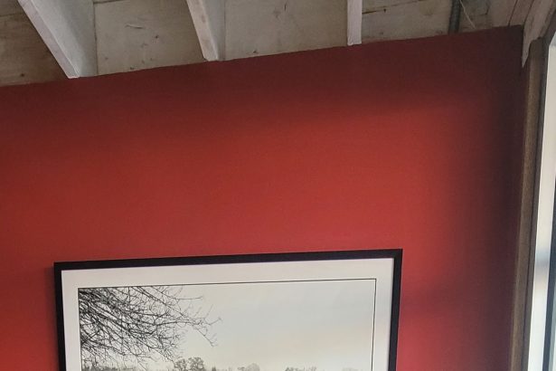 DeVine Wine & Beer to Debut in Redwood City