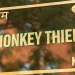 Monkey Thief To Reemerge In Hell’s Kitchen In New Location
