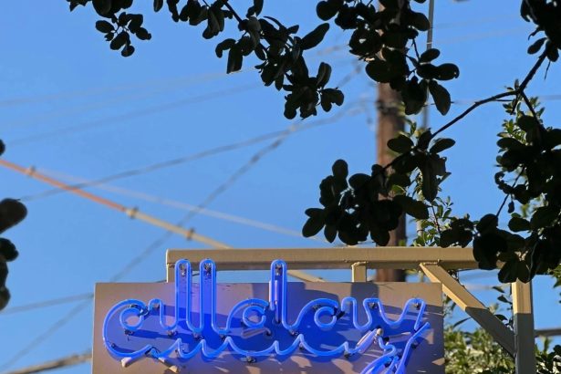 Allday Pizza Set top Open Another Pizzeria, This Time in Dry Creek