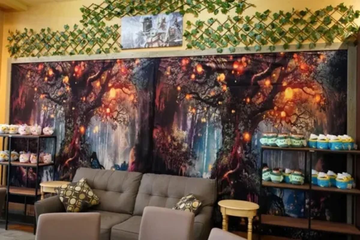 Caffeine Cauldron to Cast a Spell on Superstition Springs