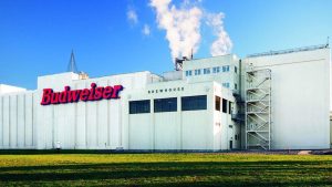Budweiser factory image
