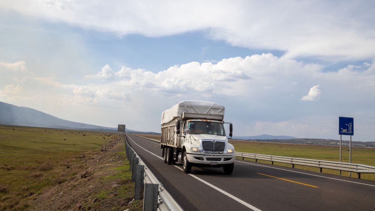 ​The trucking industry was hit by a wave of bankruptcies this year, with filings from names like Ricky Sellers Trucking, LLC, Elite Carriers, and more.
