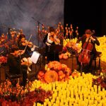 The city is among the selected places to host this experience with limited tickets available.