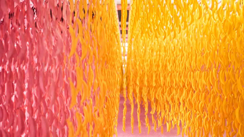 MUSEUM OF ICE CREAM to reopen in New York.