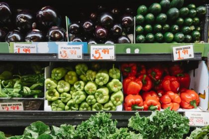 Food Lion to Open 4 New Stores in North and South Carolina