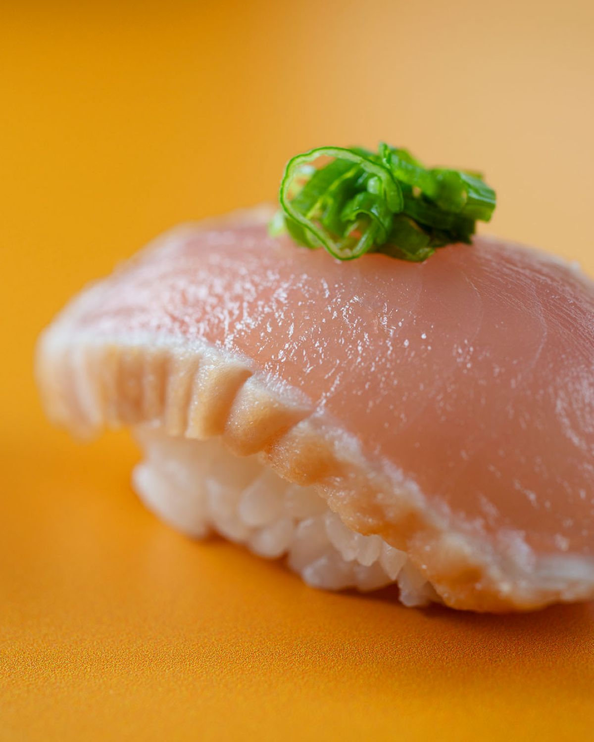 Kura Revolving Sushi Bar Coming to Wellington