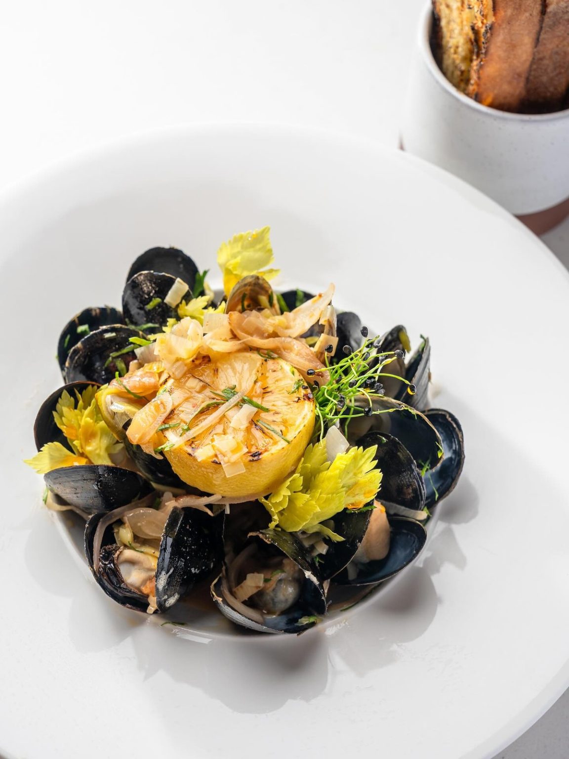 Marta Al Mare Bringing Italian Classics and Fresh Seafood to Harbor Point