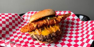 A Second Blazing Bird Set to Roost in Aurora