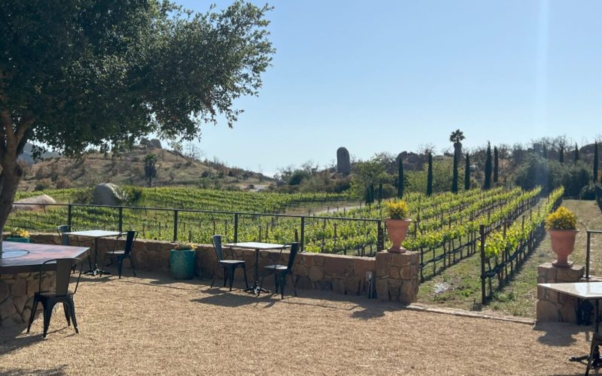 Sky Valley Cellars Planning Wine Bar in San Diego’s Marina District