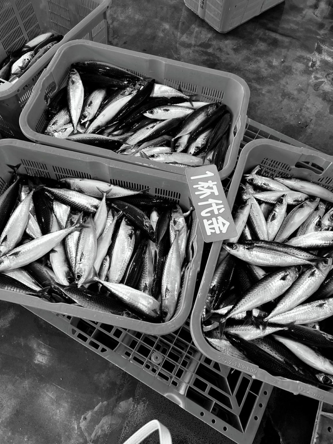 William Shen and Johnny Tung to Collaborate on New Baldwin Park Project