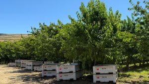 AgriMACS, Inc. announced closure, affecting 145 employees.