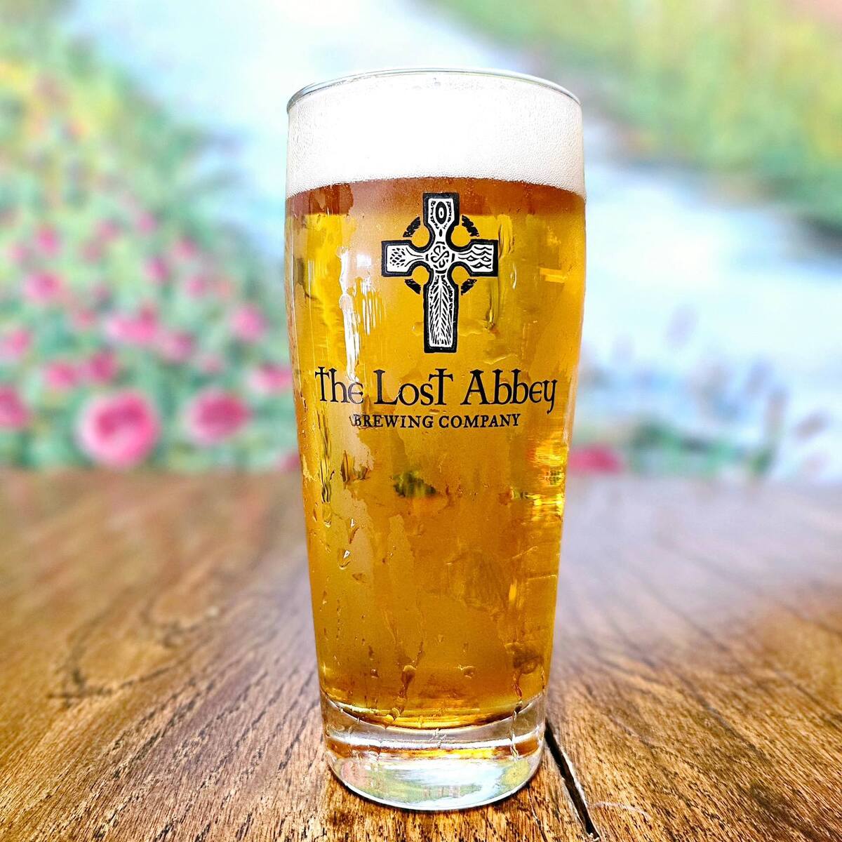 The Lost Abbey Brewing Company Planning New Miramar Site
