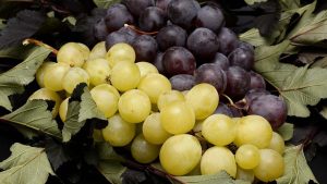 Hronis, Inc. made a Chapter 11 filing on March 6, 2026.