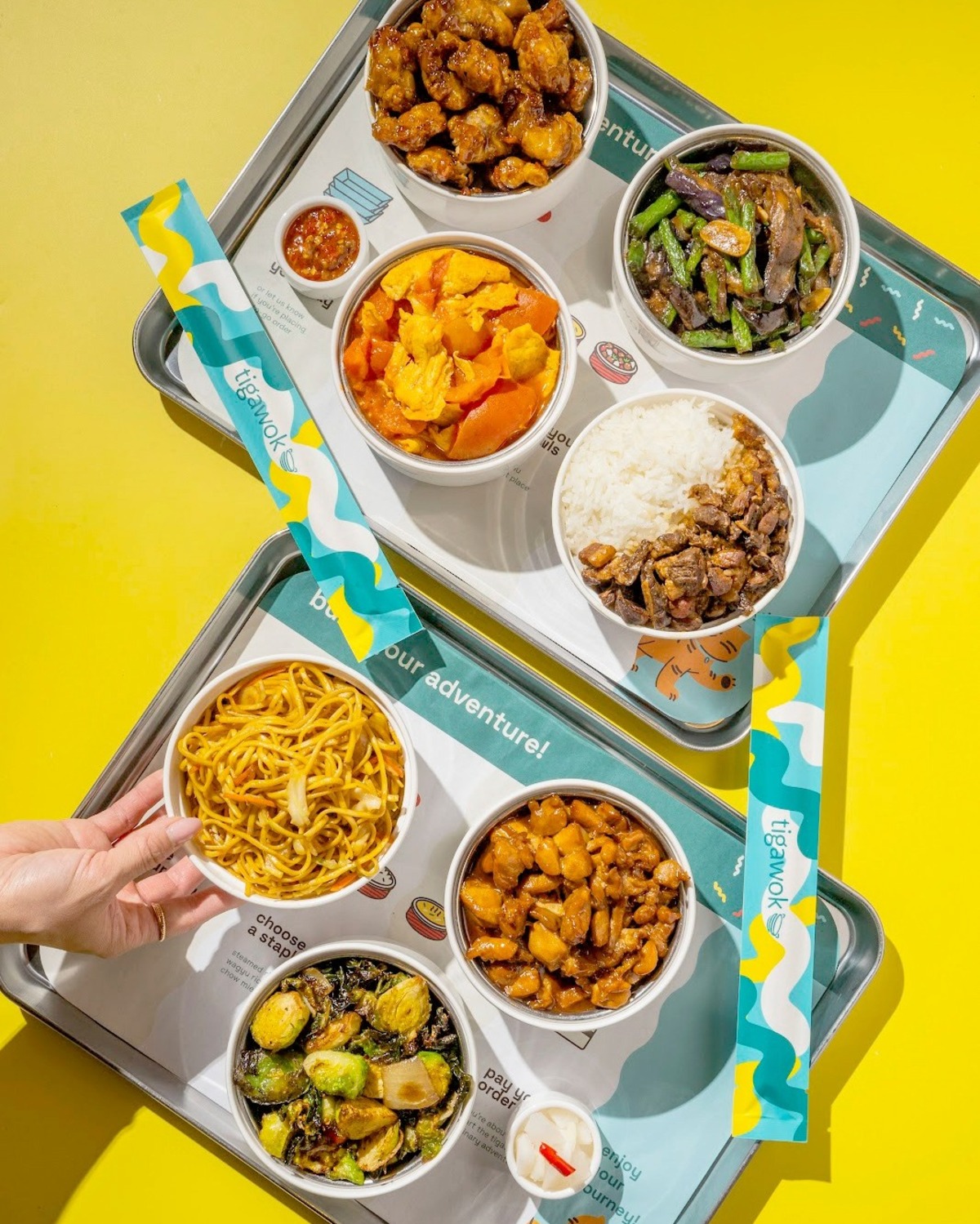 Tigawok Getting Ready for San Diego Debut