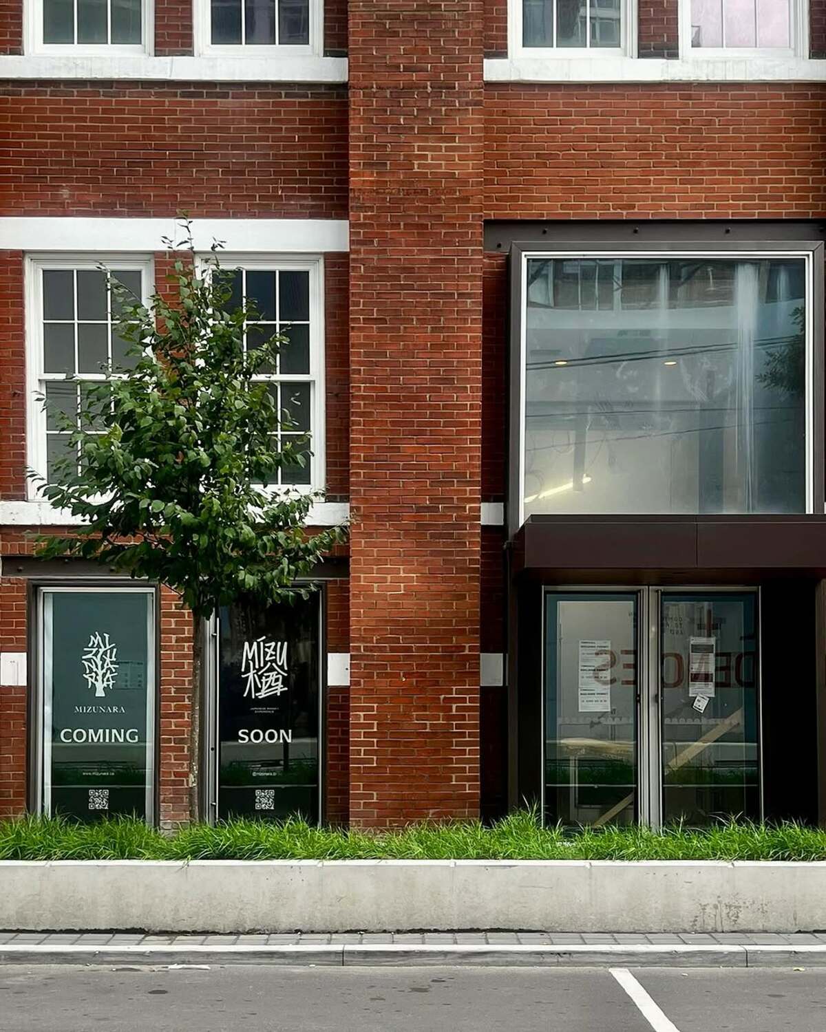 Mizunara Coming to Toronto Entertainment District