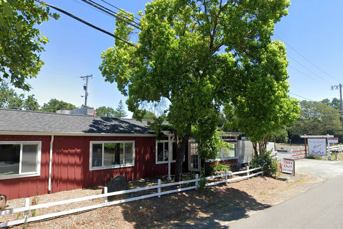 Owl & The Vine Debuts In Santa Rosa This Summer