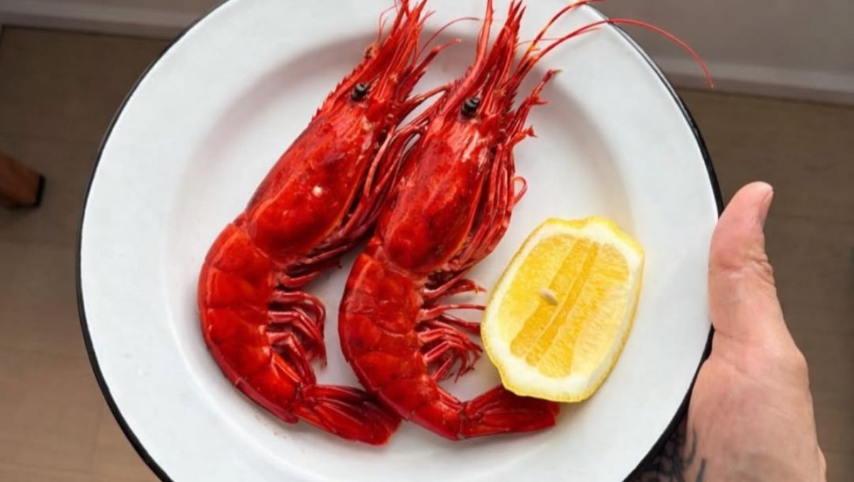 Taqueria Ramierz Founder Opening Seafood Spot in the West Village