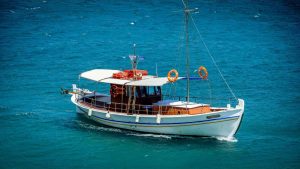 West Marine, Inc. filed a bankruptcy petition