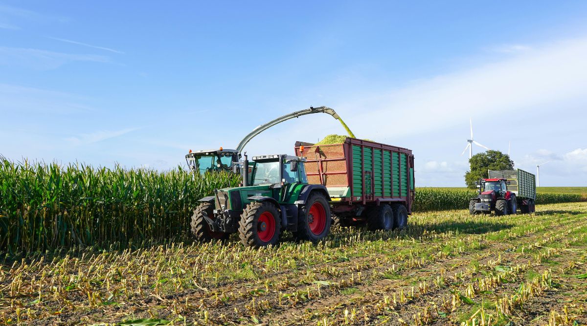 ​Smokin Oaks Organic Farms, LLC filed a bankruptcy petition