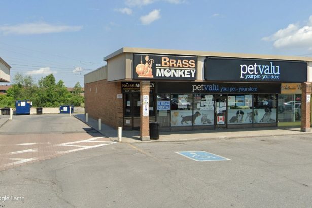 Experience Social Bringing Large-Scale Pinball and Arcade Venue to Ottawa
