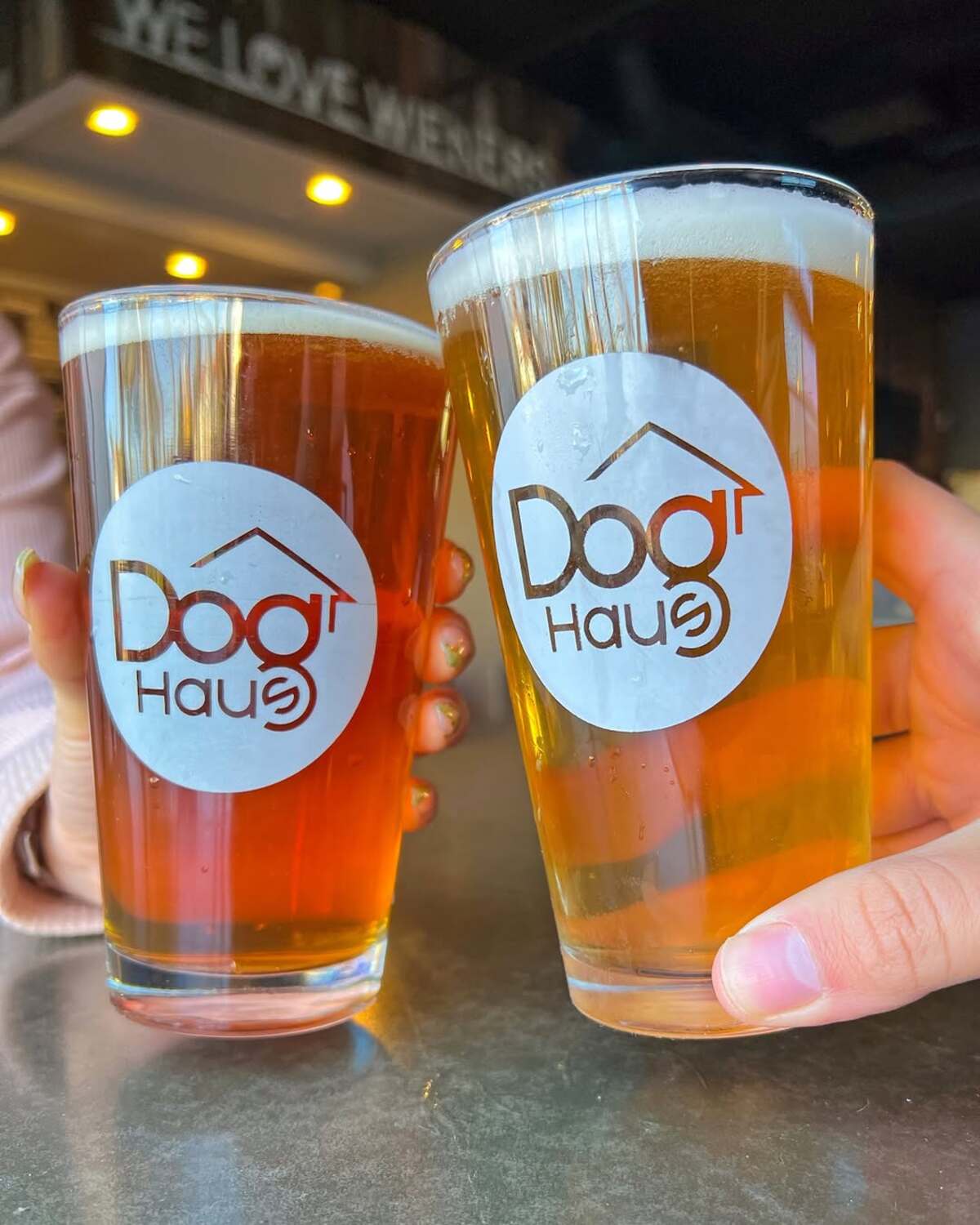 Dog Haus bringing First Ohio restaurant to high street near OSU.