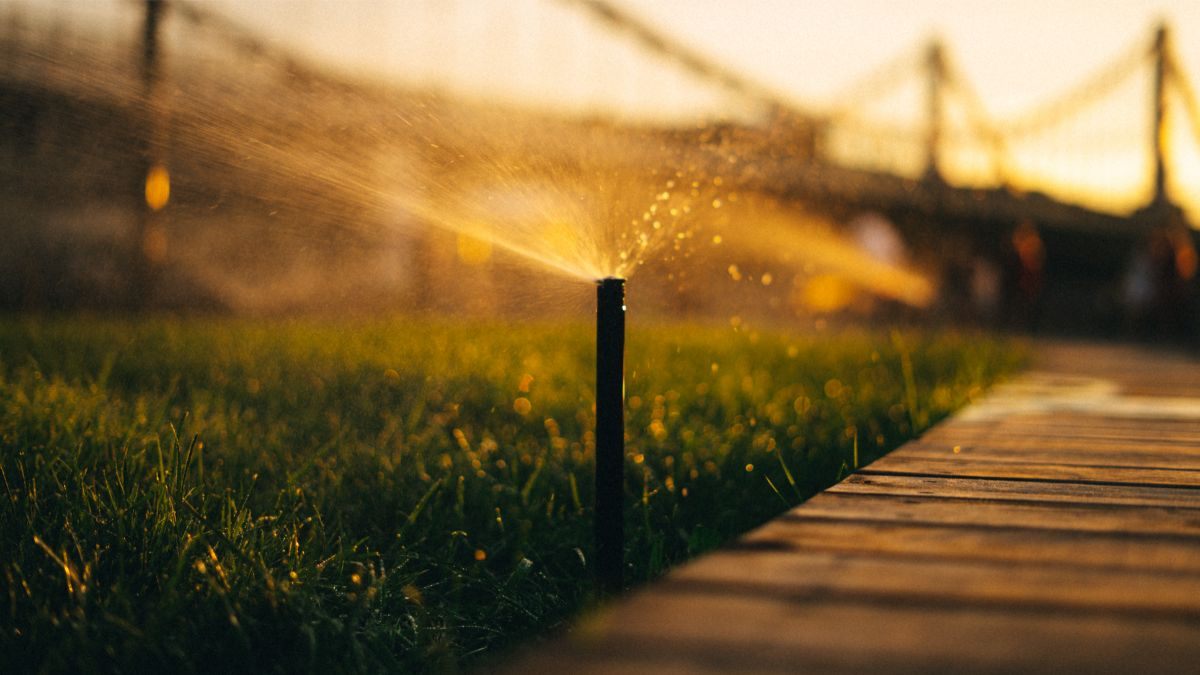 Efficient Irrigation Systems, LLC filed a bankruptcy petition