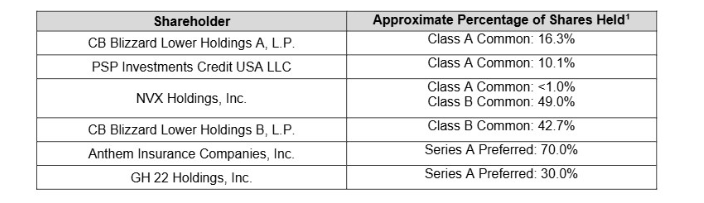 This image shows shareholders of the debtor with respective approximate percentage of shares held
