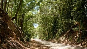 Atlanta Beltline to celebrate a significant milestone.