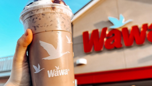 Wawa Could Be Headed to Fayetteville With Proposed New Store