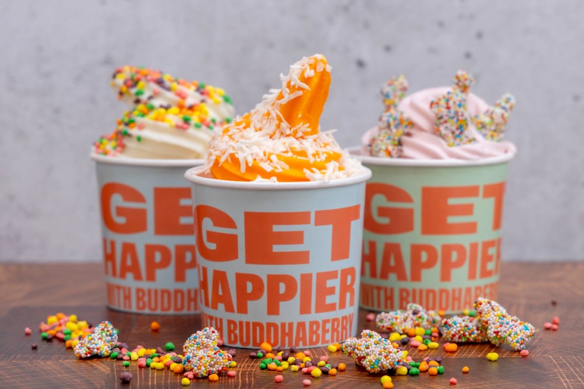 BuddhaBerry Will Bring its Hamptons Favorite FroYo to City Place