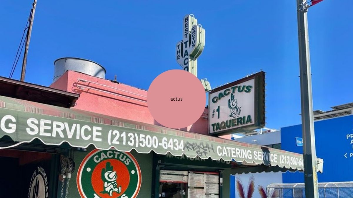 Cactus Taqueria image