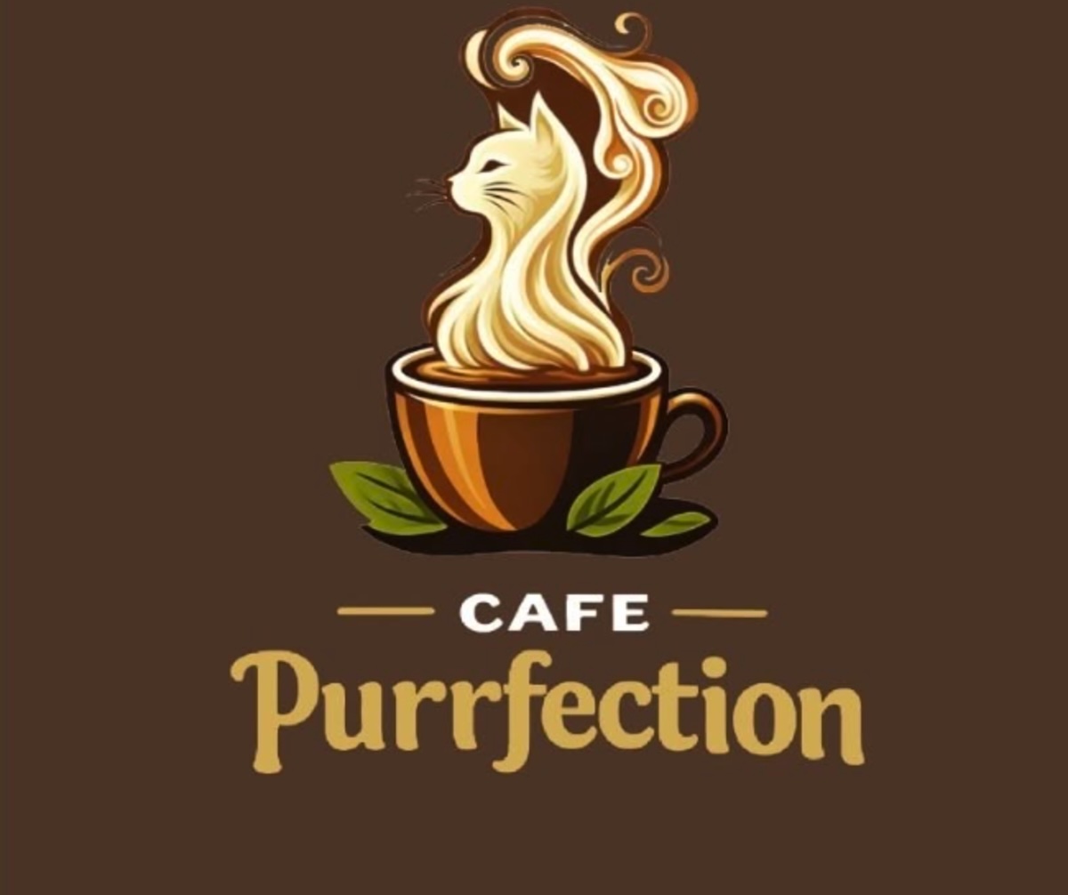 Cafe with Cat Room and Adoption Opportunities Coming to Naperville’s Block 59