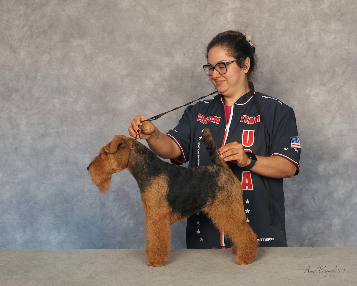 Award-Winning North Shore Pet Salon Expanding to North Andover