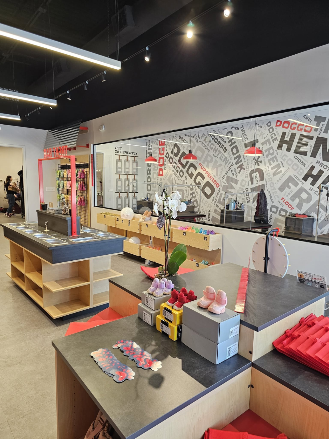 Salty Dawg Pet Salon + Bakery Could Be Coming to Flower Mound