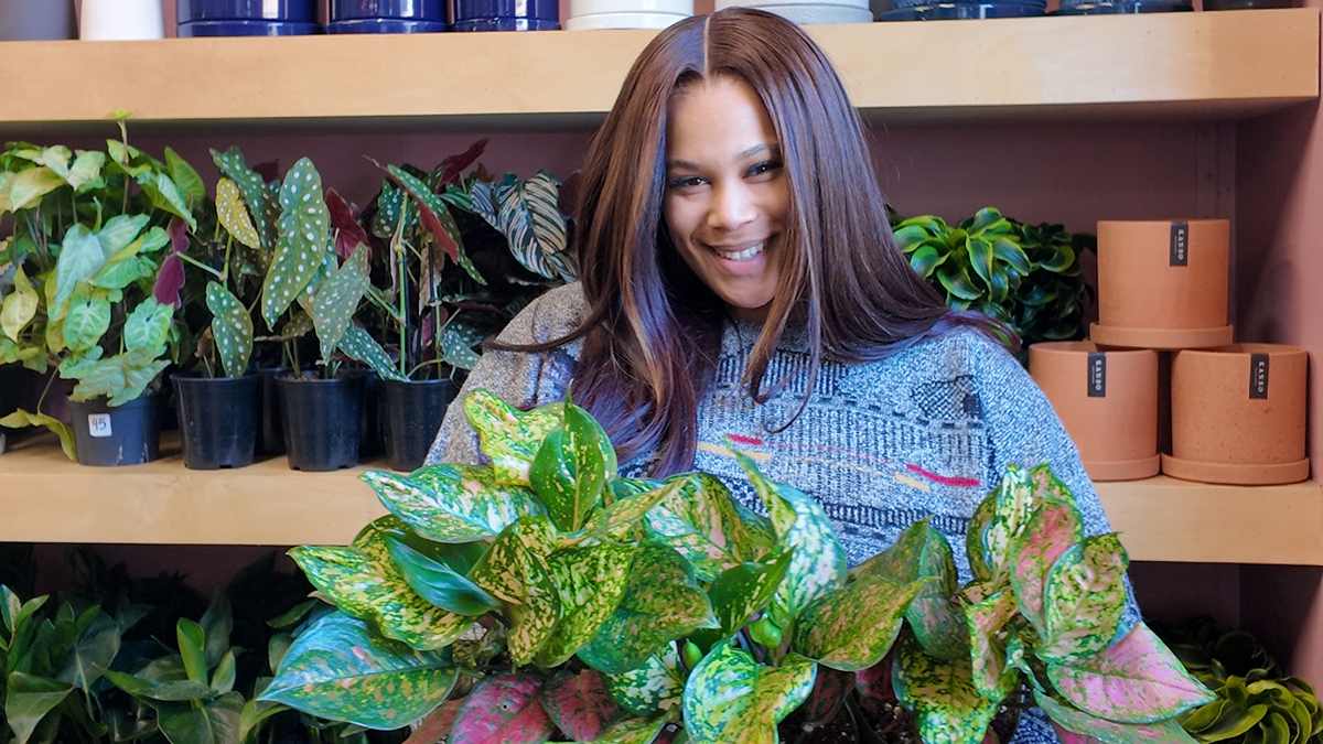 Seed Atlanta has opened at The Interlock in West Midtown.