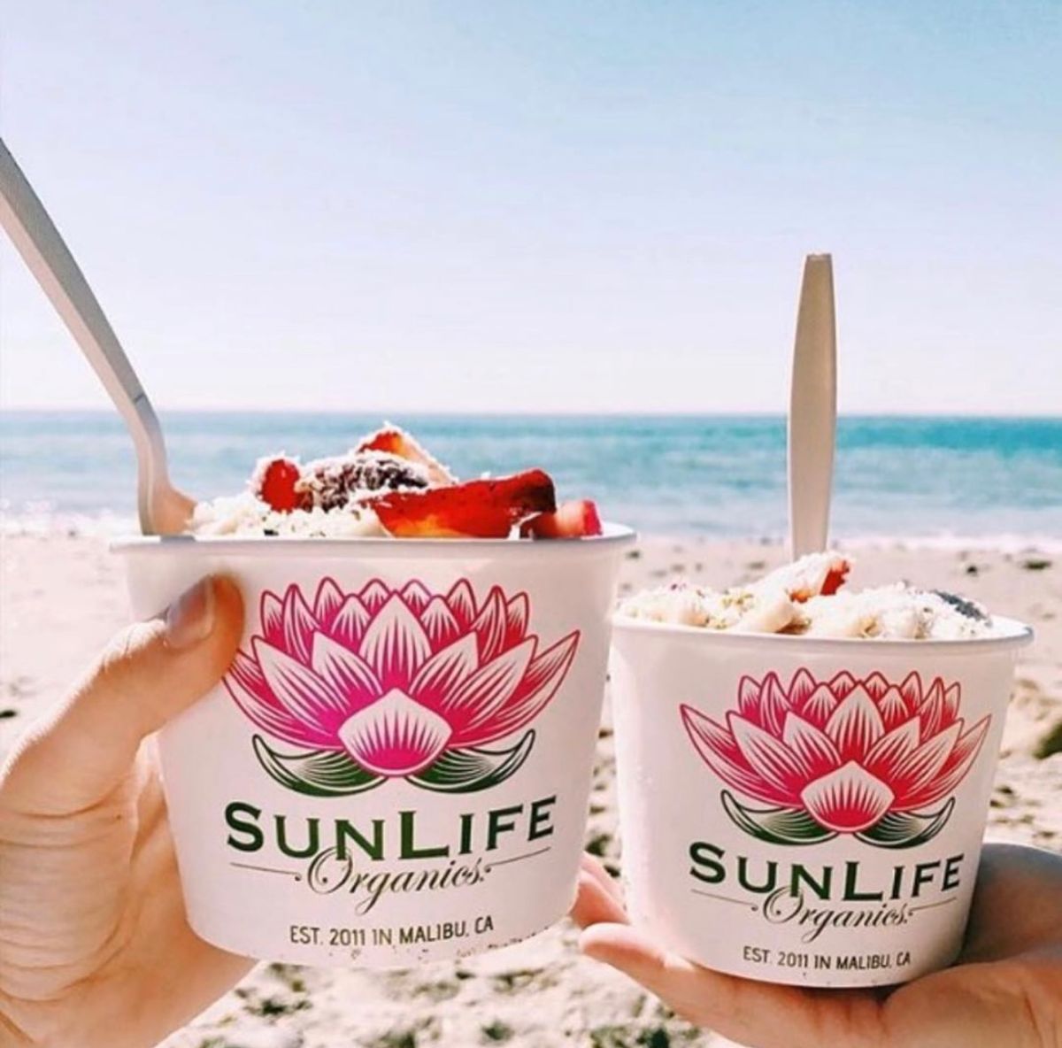 SunLife Organics is Coming to Wynwood