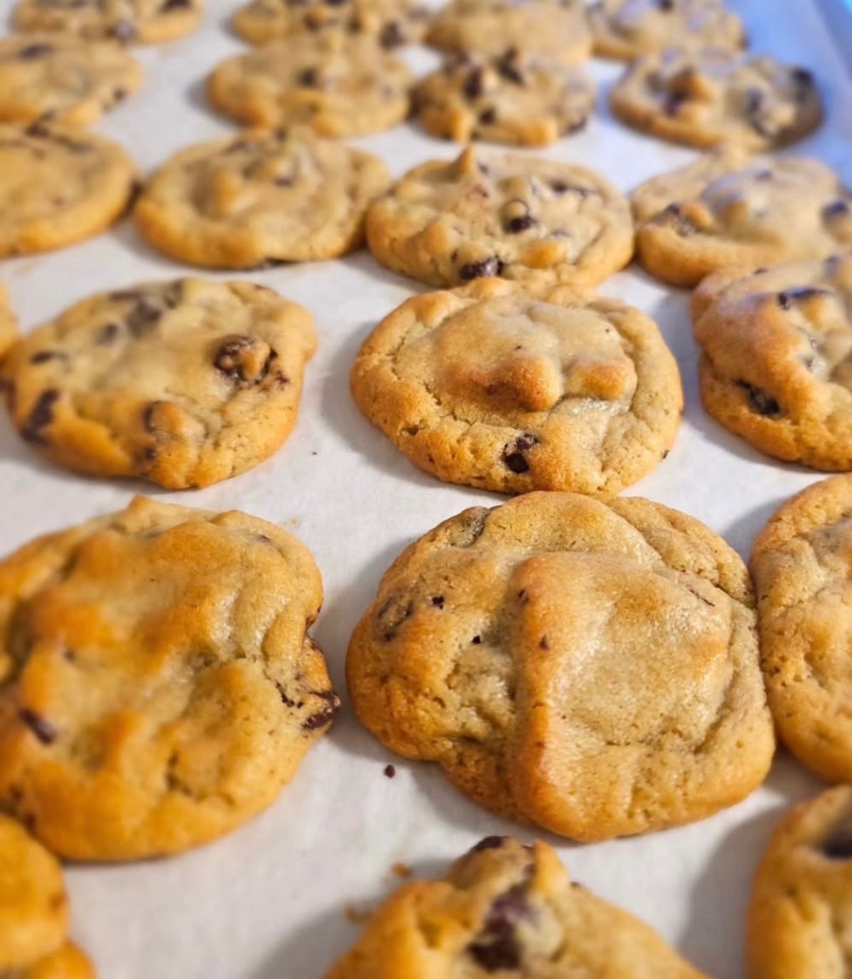 Rústico Coffee & Bakery Planning Fall Opening in Tacoma