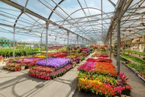 Home Depot Coming to Gaithersburg