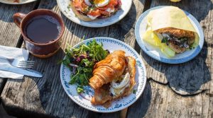 Nightwave Bar And Kitchen To Open In Guerneville